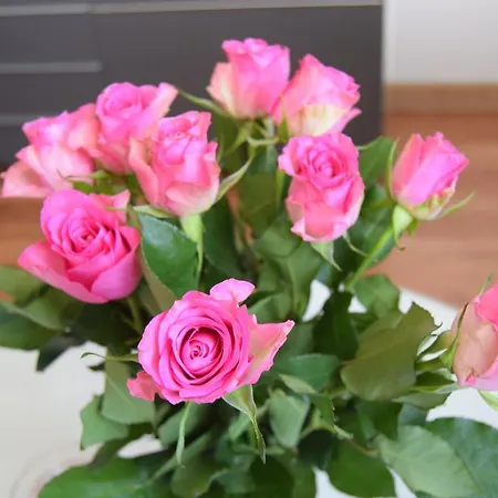 Apartamento Be My Guest - Krucza Elegant - Rondo De Gaulle'a Center Of Metro Wi-fi Breakfast Varsovia