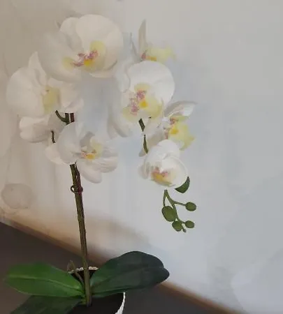 アパート Be My Guest - Krucza Elegant - Rondo De Gaulle'a Center Of Metro Wi-fi *